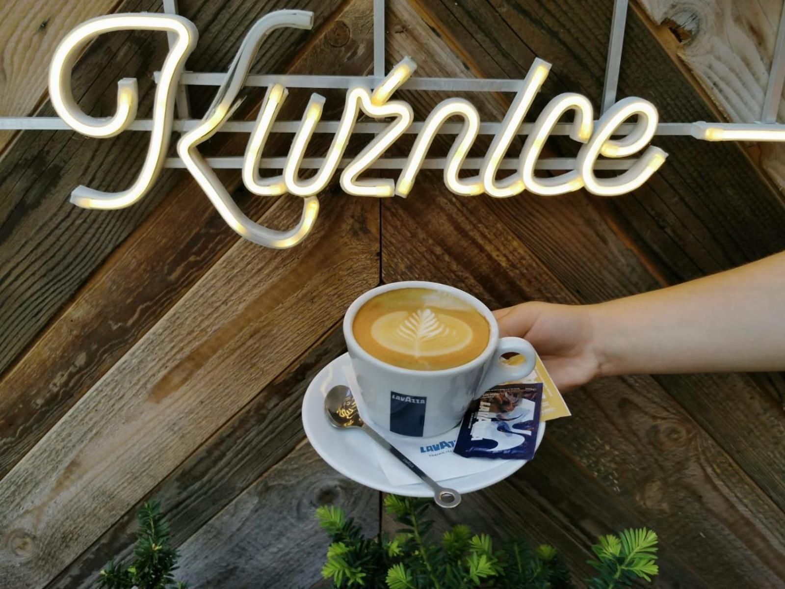 Gosciniec Kuznice Zakopane Extérieur photo